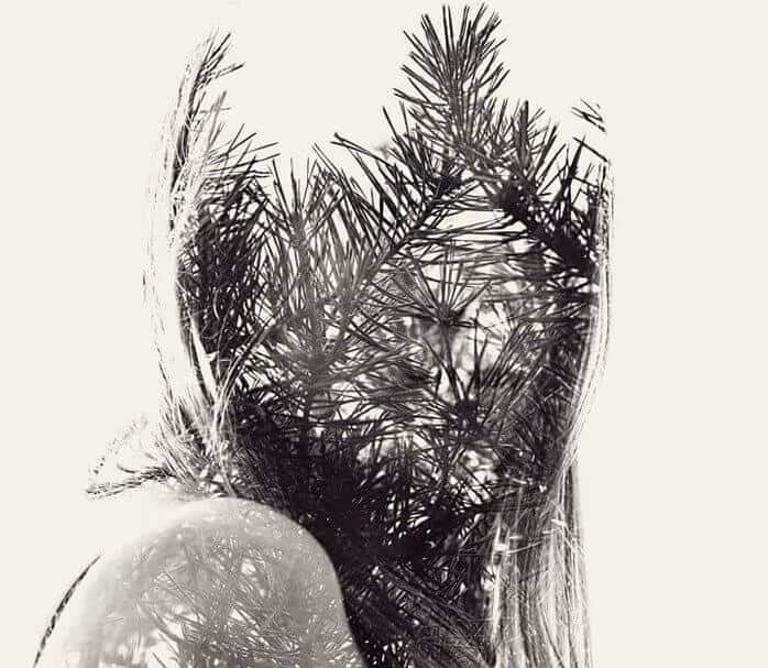 c083e19279402264d75ff00164328ec7